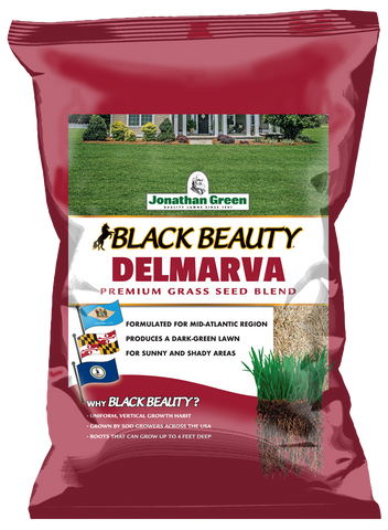 Black Beauty Delmarva Grass Seed | Jonathan Green
