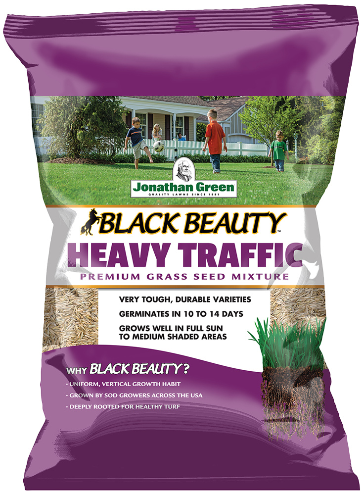 Black Beauty Heavy Traffic Grass Seed | Jonathan Green