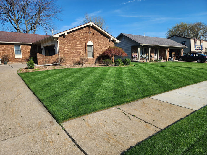 Lush striped cool-season lawn after fall nitrogen care