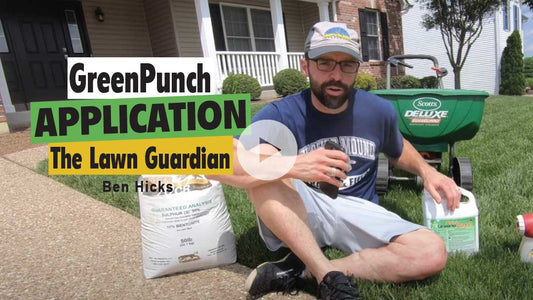 Featured Creator - The Lawn Guardian, Ben Hicks