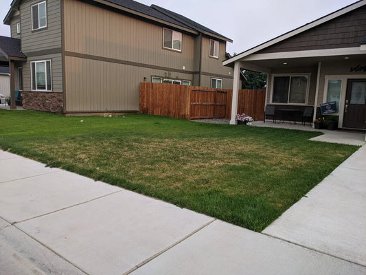 Brown Spots in Your Lawn: The Ultimate DIY Guide