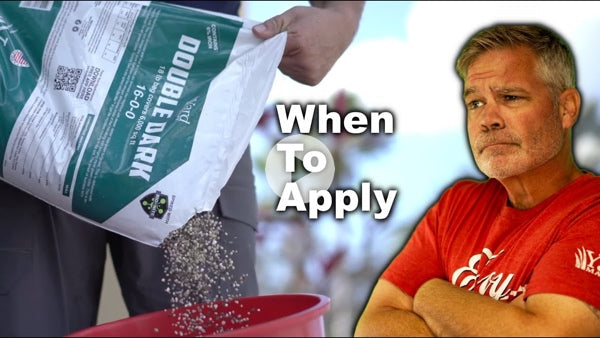 When to apply Yard Mastery Double Dark 16-0-0 fertilizer