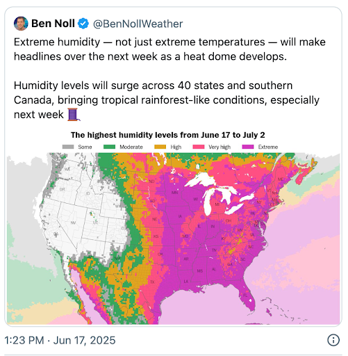 How to Protect Your Lawn During a Heat Dome | Summer Lawn Care Tips