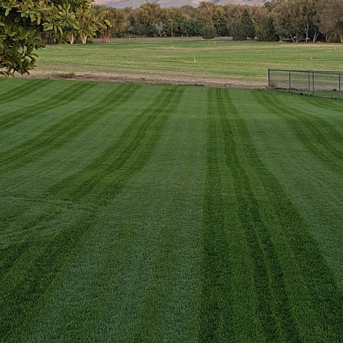 22-0-2 Whiplash w/ Micronutrients, Biochar & Compost | Mini Prills