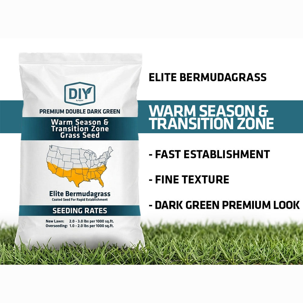 bermuda grass seed planting rate DIY Premium Double Dark Green Elite Bermudagrass Seed