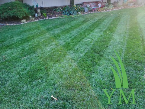 0-0-7 Prodiamine Granular Pre-Emergent Herbicide – Crabgrass & Weed Prevention