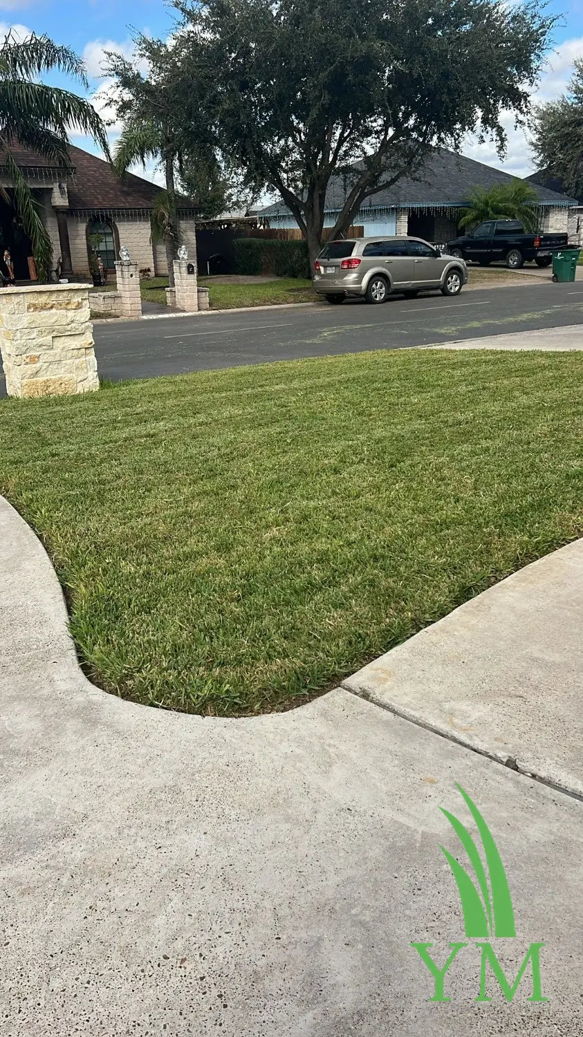 prodiamine granular herbicide label 0-0-7 Granular Prodiamine Pre-Emergent Herbicide Fertilizer | Yard Mastery