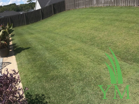 Prodiamine Pre-Emergent Herbicide (Granular)