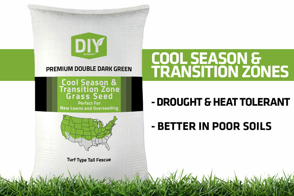 DIY Premium Double Dark Green - Turf Type Tall Fescue | MySoil