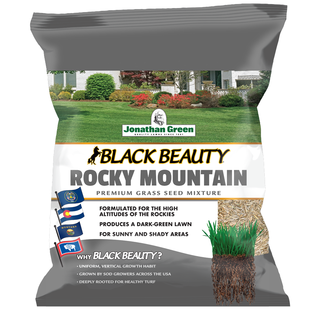 Black Beauty Rocky Mountain Grass Seed | Jonathan Green