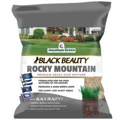 Black Beauty Rocky Mountain Grass Seed | Jonathan Green