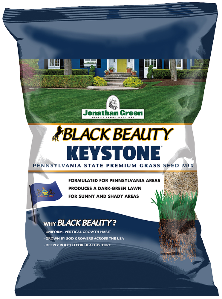 Black Beauty Keystone Grass Seed | Jonathan Green