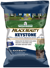 Black Beauty Keystone Grass Seed | Jonathan Green