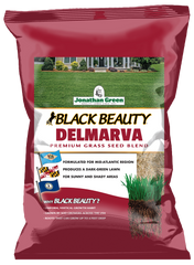 Black Beauty Delmarva Grass Seed | Jonathan Green