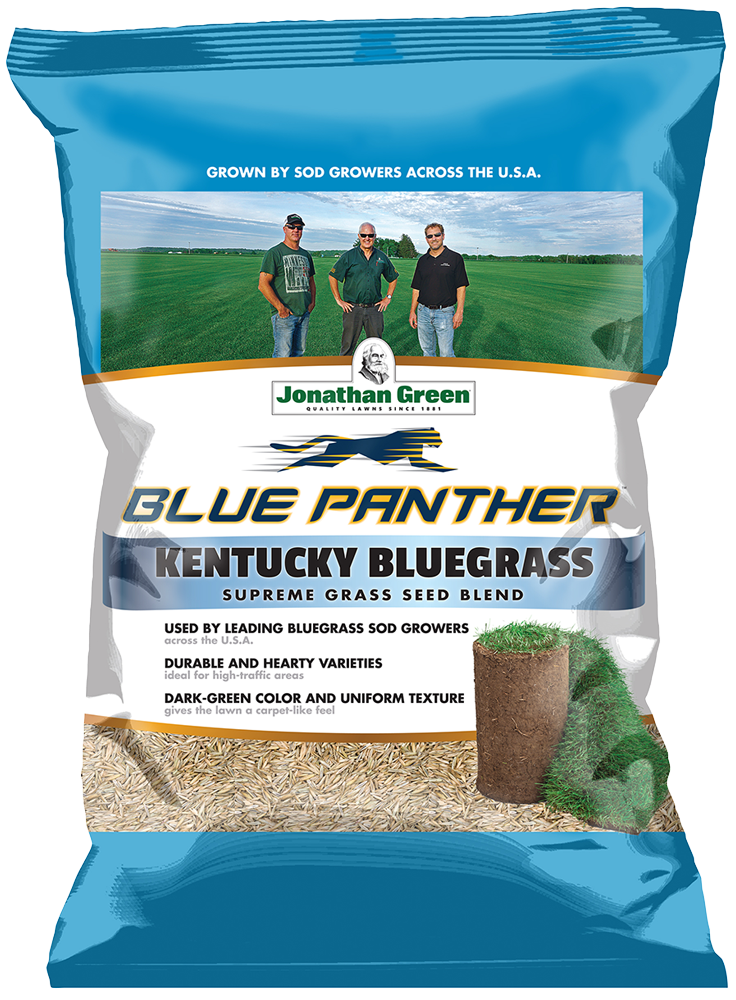 Blue Panther Kentucky Bluegrass | Jonathan Green
