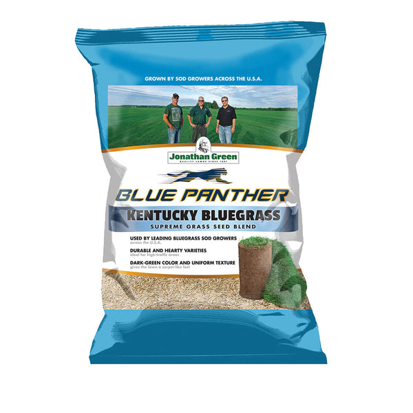 Blue Panther Kentucky Bluegrass | Jonathan Green – Yard Mastery Blue Panther Kentucky Bluegrass | Jonathan Green – Yard Mastery