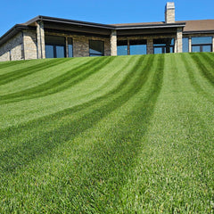13-6-13 Complete Start | Curb Appeal