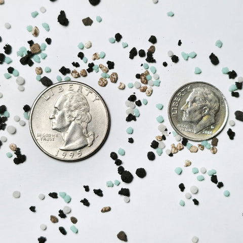 16-0-16 Double Take | Curb Appeal