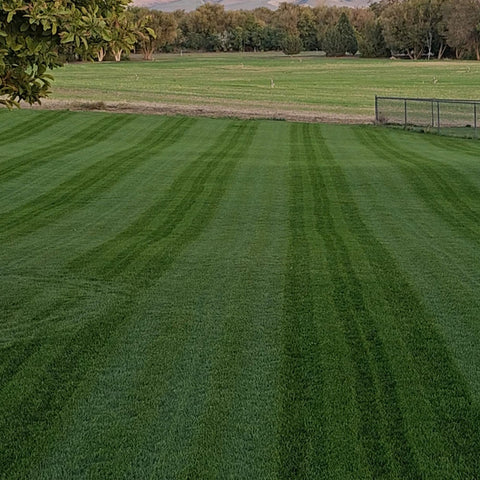 16-0-16 Double Take | Curb Appeal