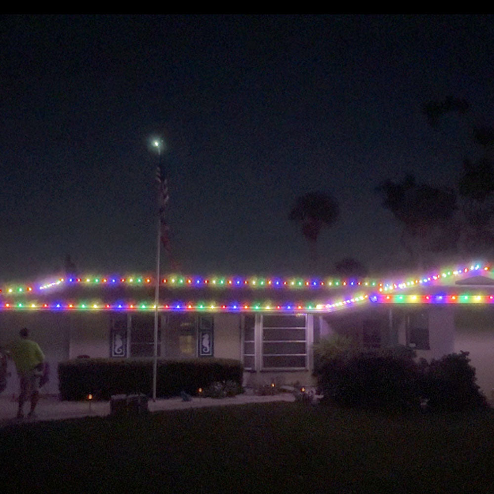 C9 LED Multi Opaque - Retro Look Bulbs (Charlie Brown) | Christmas Lights