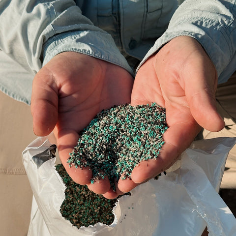 16-0-16 Double Take | Curb Appeal