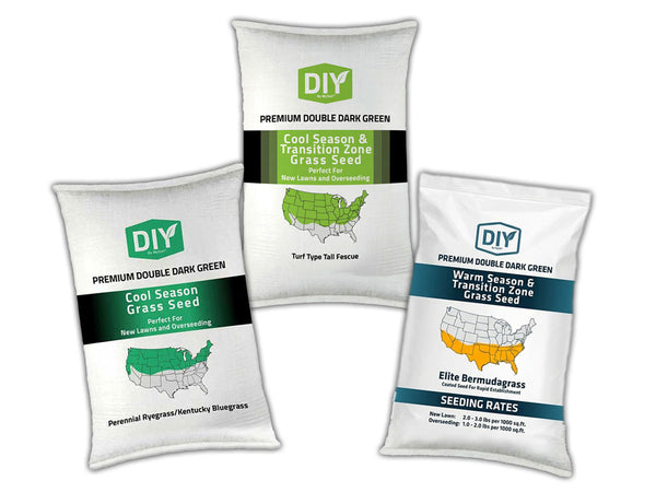 Grass Seed