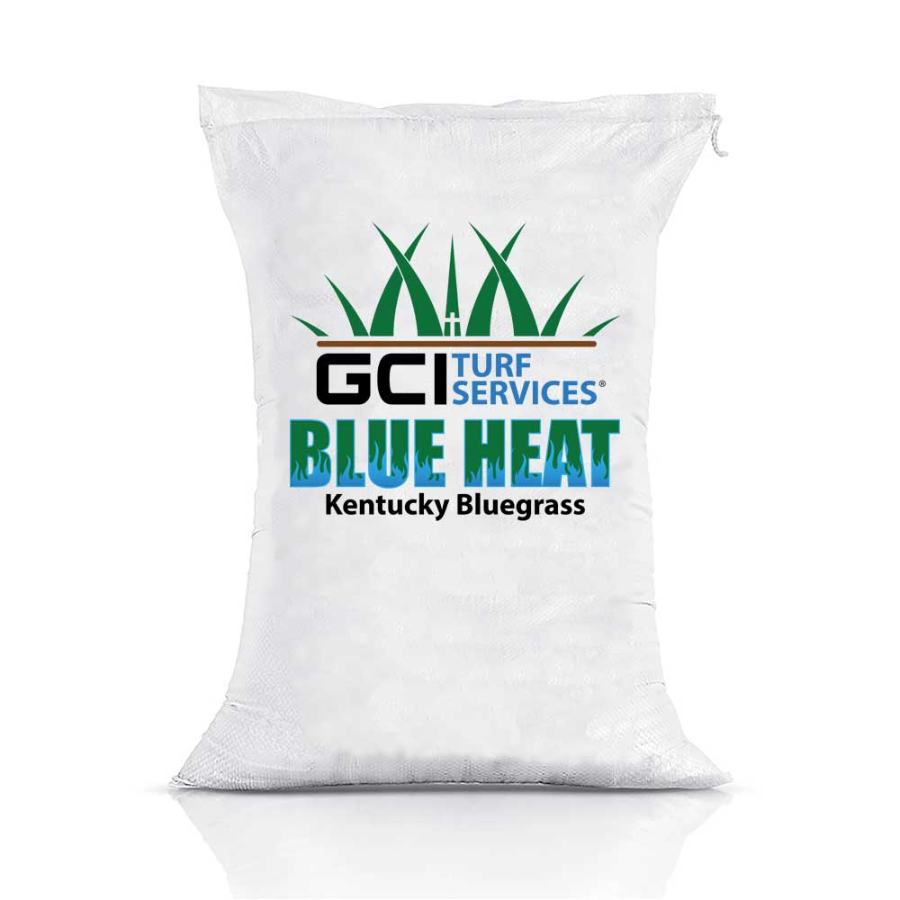 Blue Heat Kentucky Bluegrass Grass Seed | GCI