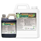 16-21-2 GreenePOP Starter Fertilizer | N-Ext