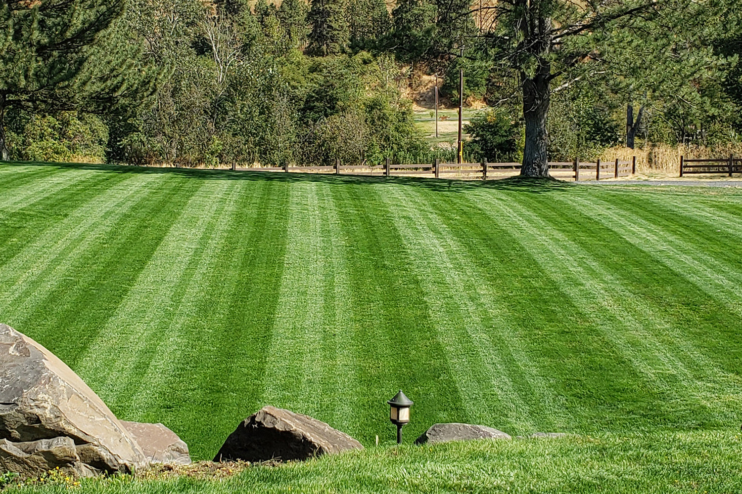 DIY Premium Double Dark Green Grass Seed - Cool Season Blend | MySoil