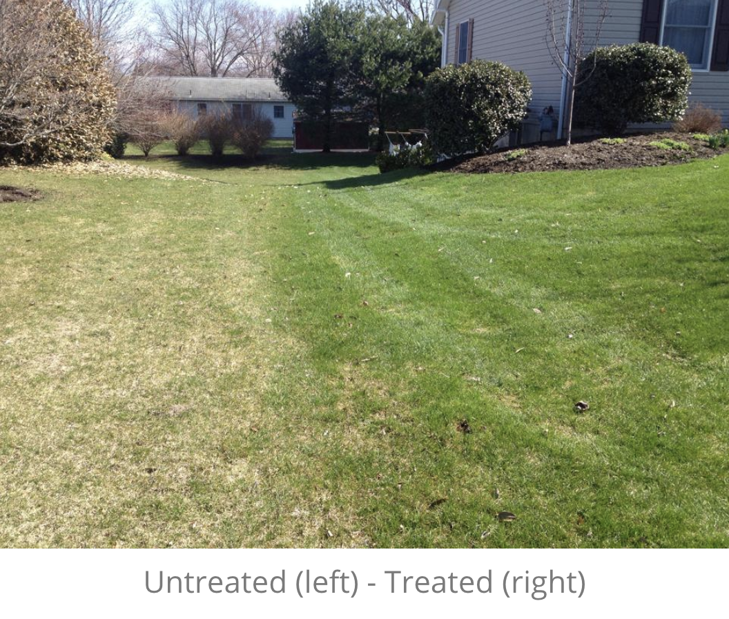 Yard Mastery - Do It Yourself Lawn Care Products and Supplies | Home